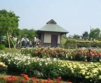 하마데라 공원