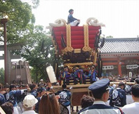 Mozu Hachimangu Tsukimi Festival