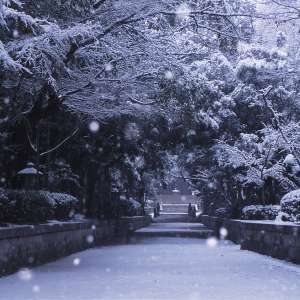 白い参道（撮影地：波太神社）