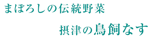 まぼろしの伝統野菜 摂津の鳥飼なす