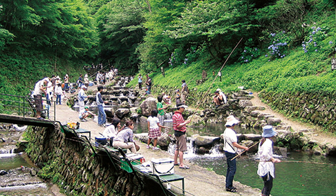 千早川マス釣場