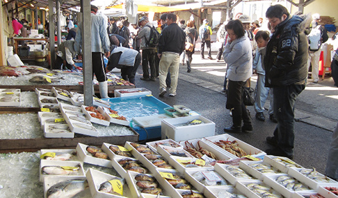 田尻漁港 日曜朝市